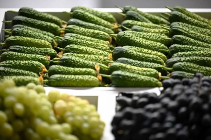 Северо-Кавказстат зафиксировал резкий рост цен на ключевые продукты в Ставропольском крае за неделю с 3 по 9 февраля 2026 года