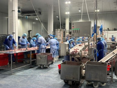 Ставропольская индейка