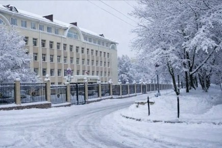 Адвокат из Ставрополя «сделал ребёнка» клиентке, чтобы смягчить ей срок по нескольким статьям