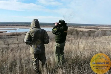 В 2026-м на Ставрополье провели 418 патрулирований охотугодий: чаще всего у нарушителей не было путевки