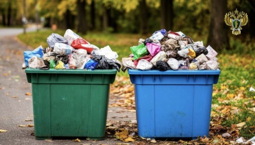 По постановлению прокуратуры регоператор привлечен к административной ответственности