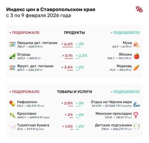Огурцы подорожали до 340 рублей на Ставрополье с начала 2026 года