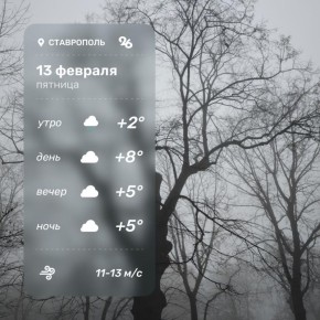 Погода в Ставрополе 13 февраля